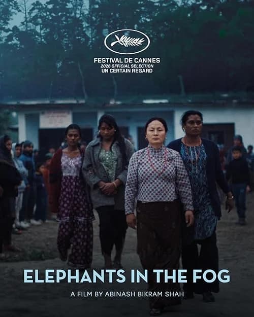 Elephants in the Fog